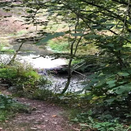 Panoramic Retreat In * מאלמדי