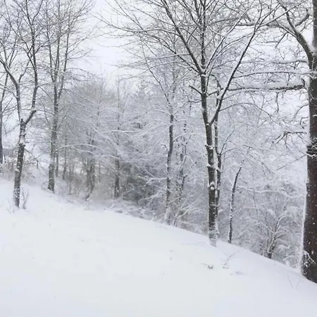 Panoramic Retreat In * Malmedy